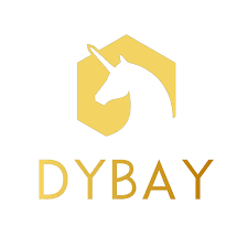 Dybay Viet Nam Holding  